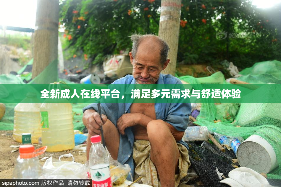 全新成人在线平台，满足多元需求与舒适体验