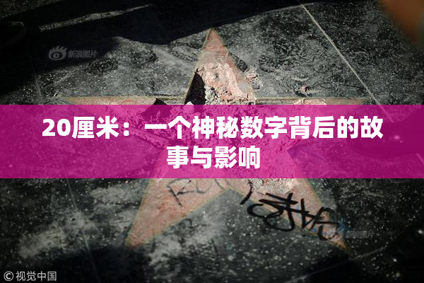 20厘米：一个神秘数字背后的故事与影响