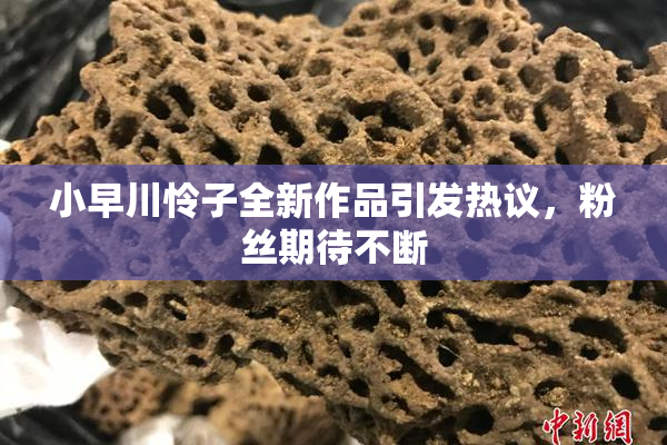 小早川怜子全新作品引发热议，粉丝期待不断