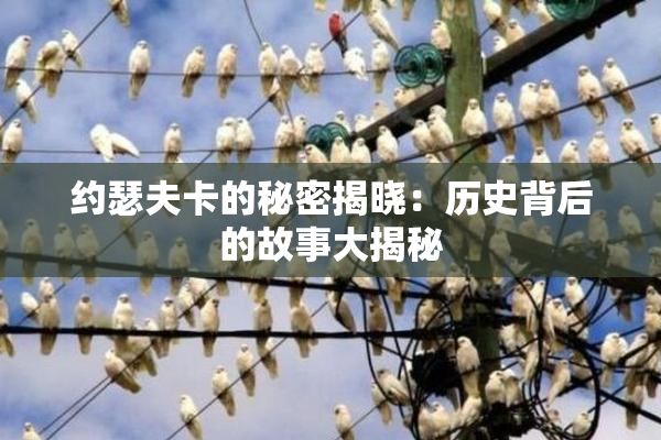 约瑟夫卡的秘密揭晓：历史背后的故事大揭秘