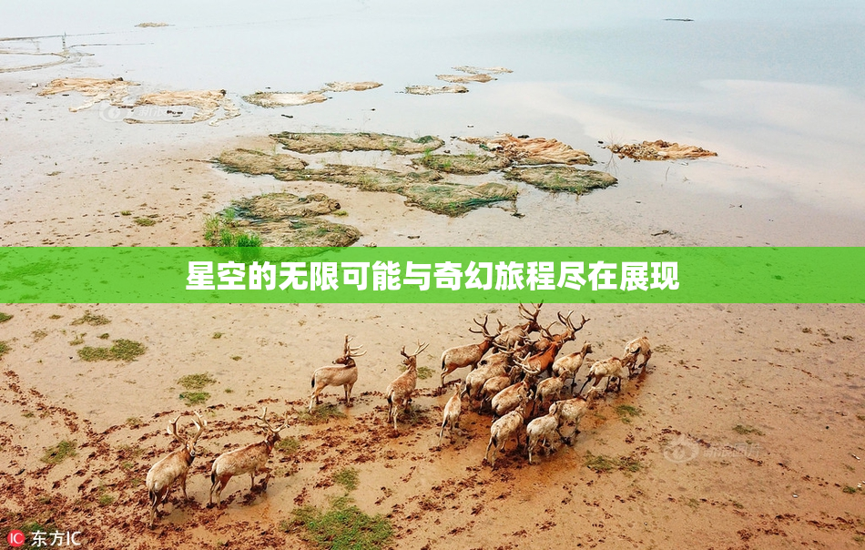 星空的无限可能与奇幻旅程尽在展现