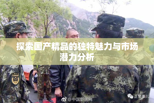 探索国产精品的独特魅力与市场潜力分析