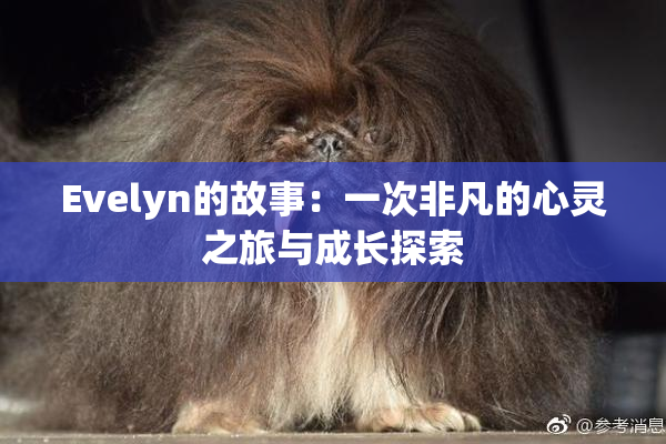 Evelyn的故事：一次非凡的心灵之旅与成长探索