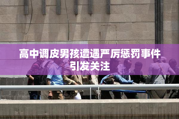 高中调皮男孩遭遇严厉惩罚事件引发关注