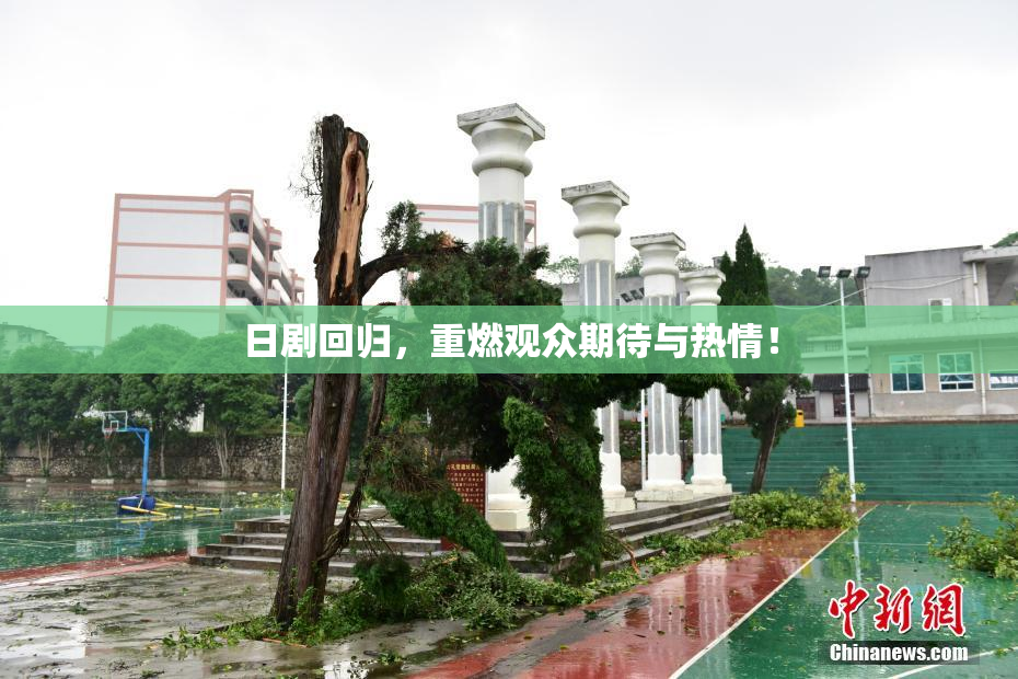 日剧回归，重燃观众期待与热情！