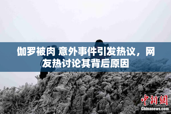伽罗被肉 意外事件引发热议，网友热讨论其背后原因