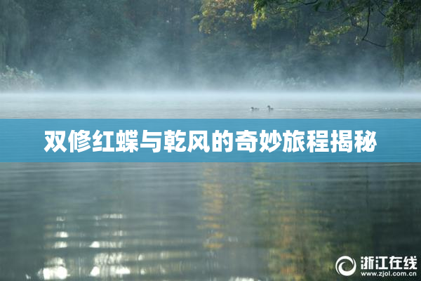 双修红蝶与乾风的奇妙旅程揭秘
