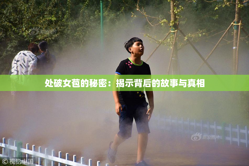 处破女苞的秘密：揭示背后的故事与真相
