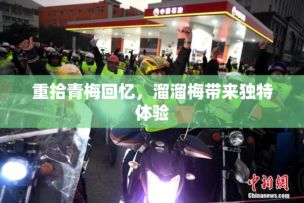 重拾青梅回忆，溜溜梅带来独特体验