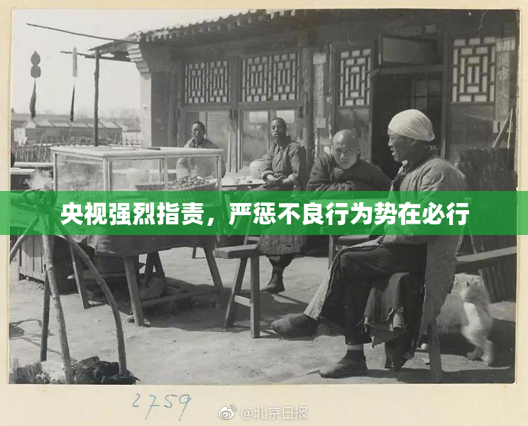 央视强烈指责，严惩不良行为势在必行