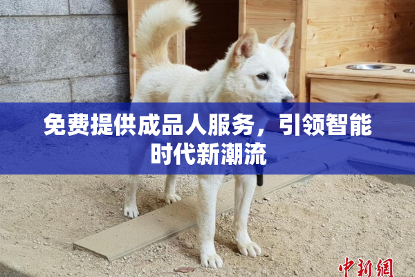 免费提供成品人服务，引领智能时代新潮流