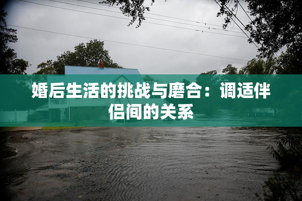 婚后生活的挑战与磨合：调适伴侣间的关系
