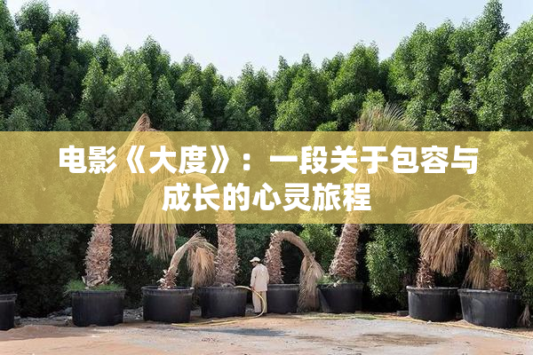 电影《大度》：一段关于包容与成长的心灵旅程
