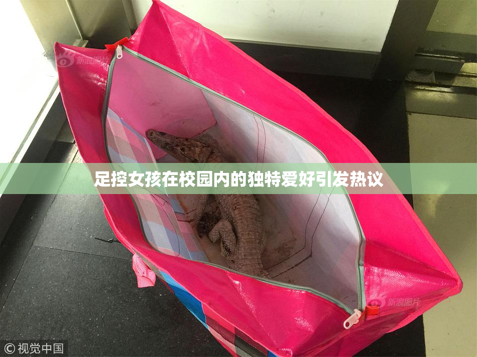 足控女孩在校园内的独特爱好引发热议