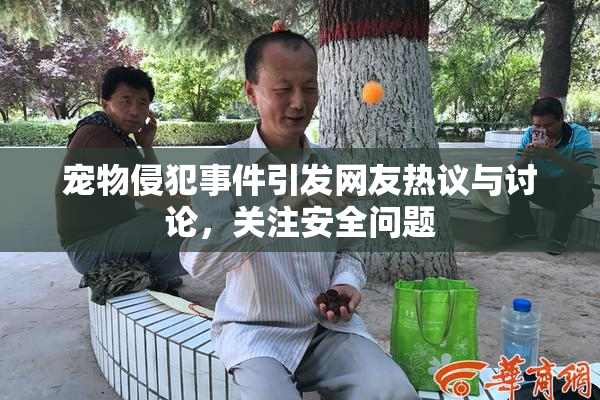 宠物侵犯事件引发网友热议与讨论，关注安全问题