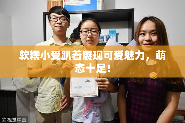 软糯小受趴着展现可爱魅力，萌态十足！