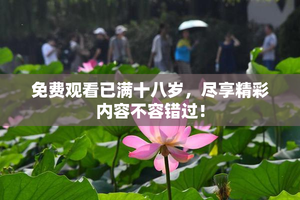 免费观看已满十八岁，尽享精彩内容不容错过！