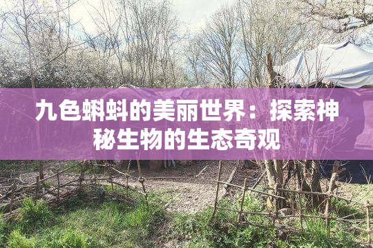 九色蝌蚪的美丽世界：探索神秘生物的生态奇观