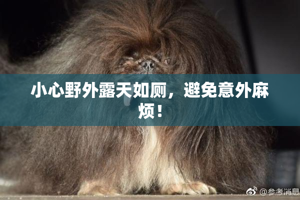 小心野外露天如厕，避免意外麻烦！