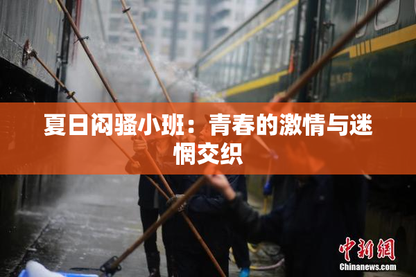 夏日闷骚小班：青春的激情与迷惘交织