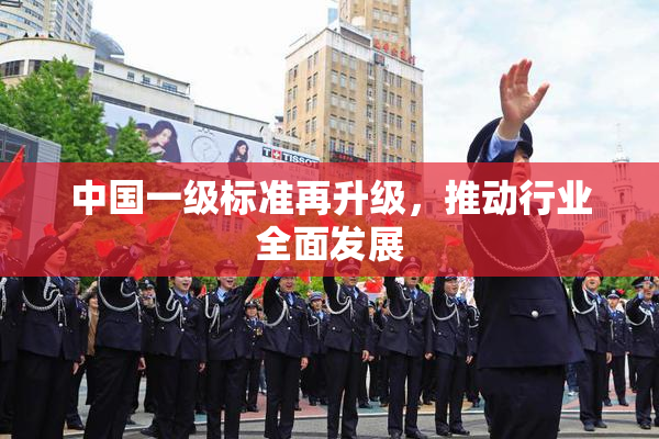 中国一级标准再升级，推动行业全面发展