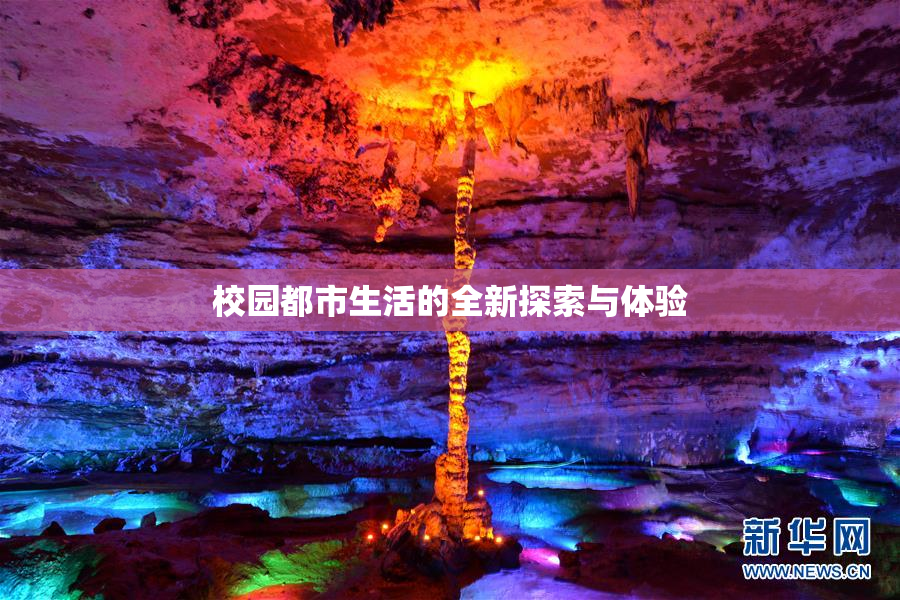 校园都市生活的全新探索与体验