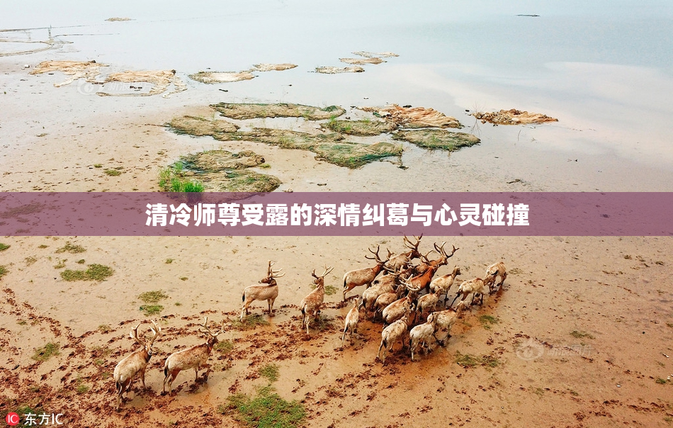 清冷师尊受露的深情纠葛与心灵碰撞