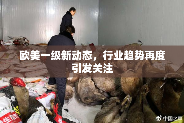 欧美一级新动态，行业趋势再度引发关注