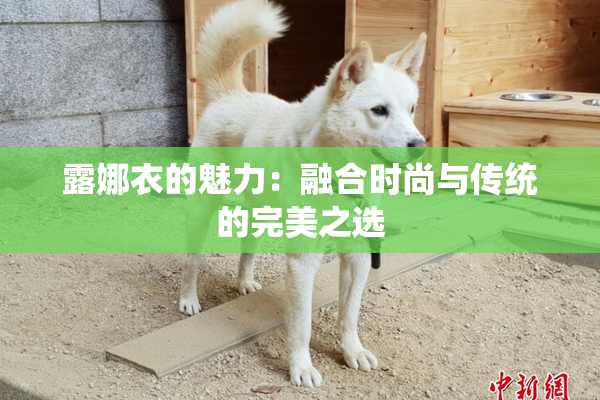 露娜衣的魅力：融合时尚与传统的完美之选