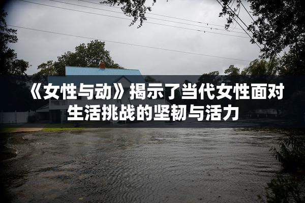 《女性与动》揭示了当代女性面对生活挑战的坚韧与活力