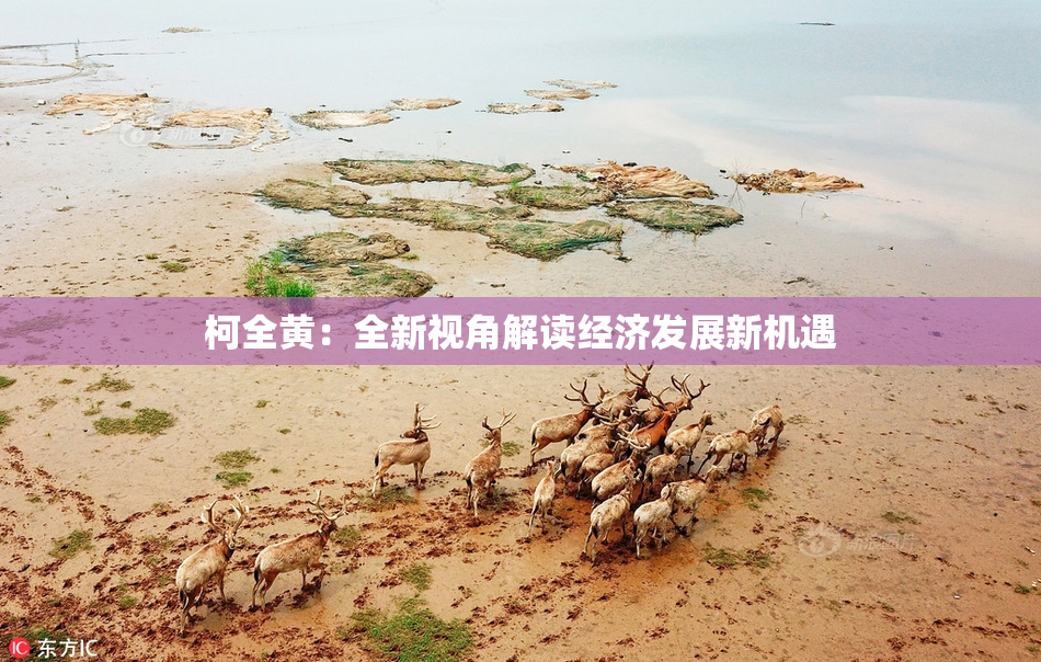 柯全黄：全新视角解读经济发展新机遇