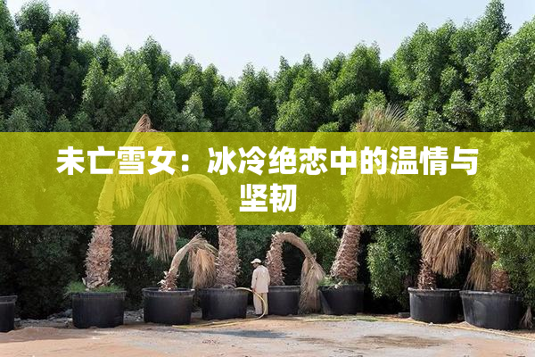 未亡雪女：冰冷绝恋中的温情与坚韧