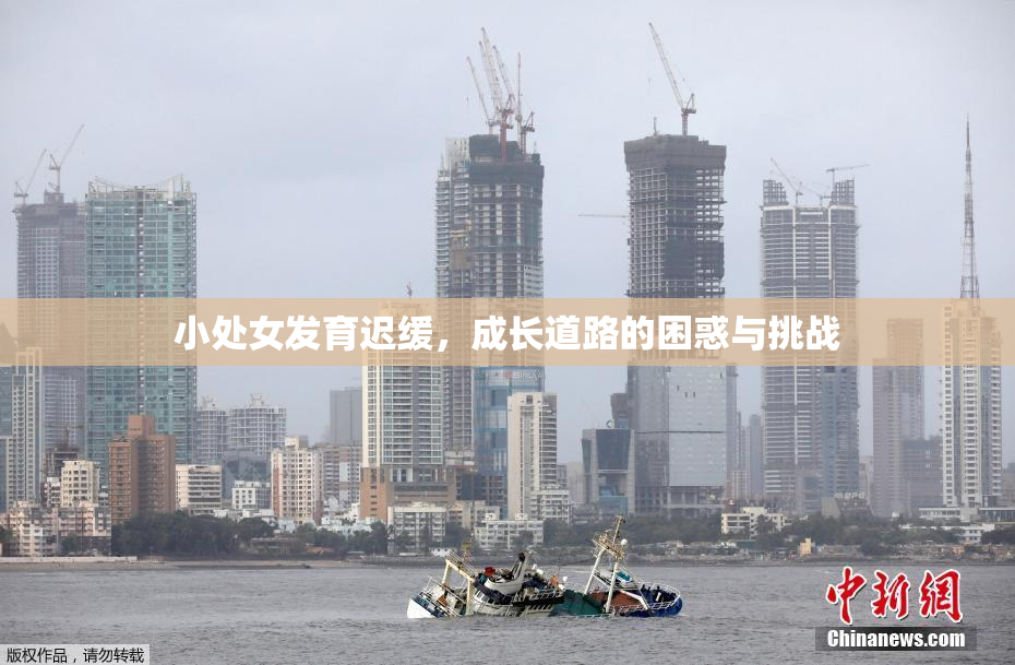 小处女发育迟缓，成长道路的困惑与挑战