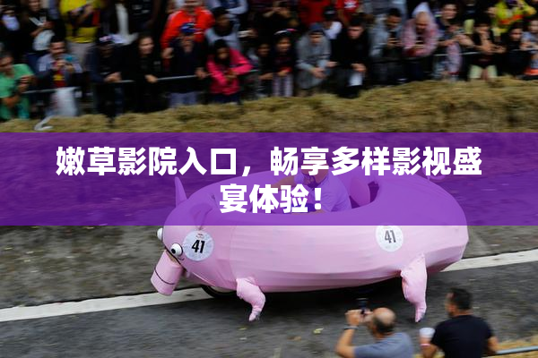 嫩草影院入口，畅享多样影视盛宴体验！