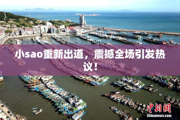 小sao重新出道，震撼全场引发热议！