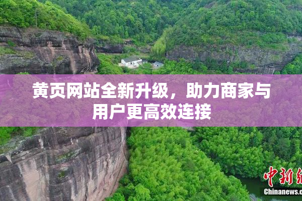 黄页网站全新升级，助力商家与用户更高效连接