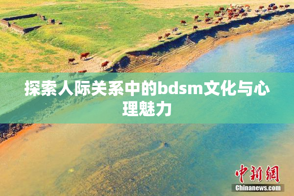 探索人际关系中的bdsm文化与心理魅力