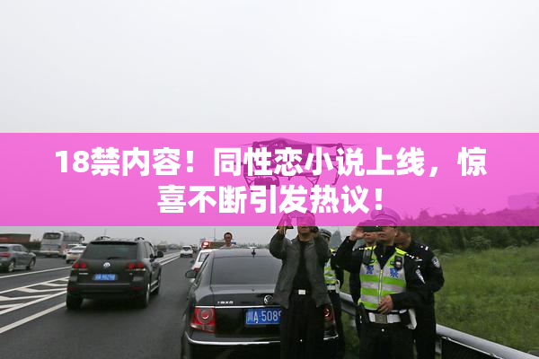 18禁内容！同性恋小说上线，惊喜不断引发热议！