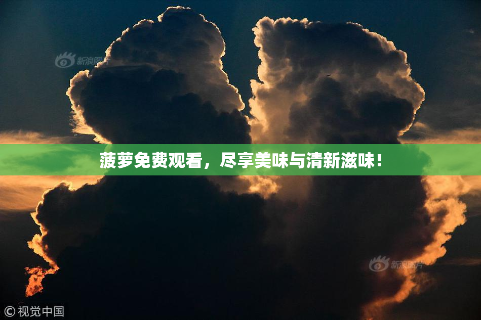 菠萝免费观看，尽享美味与清新滋味！