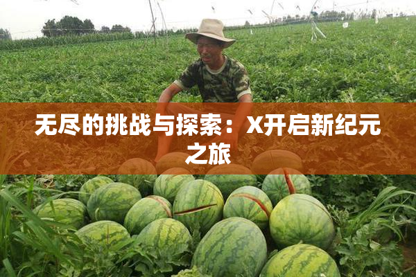 无尽的挑战与探索：X开启新纪元之旅