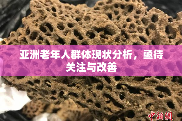 亚洲老年人群体现状分析，亟待关注与改善