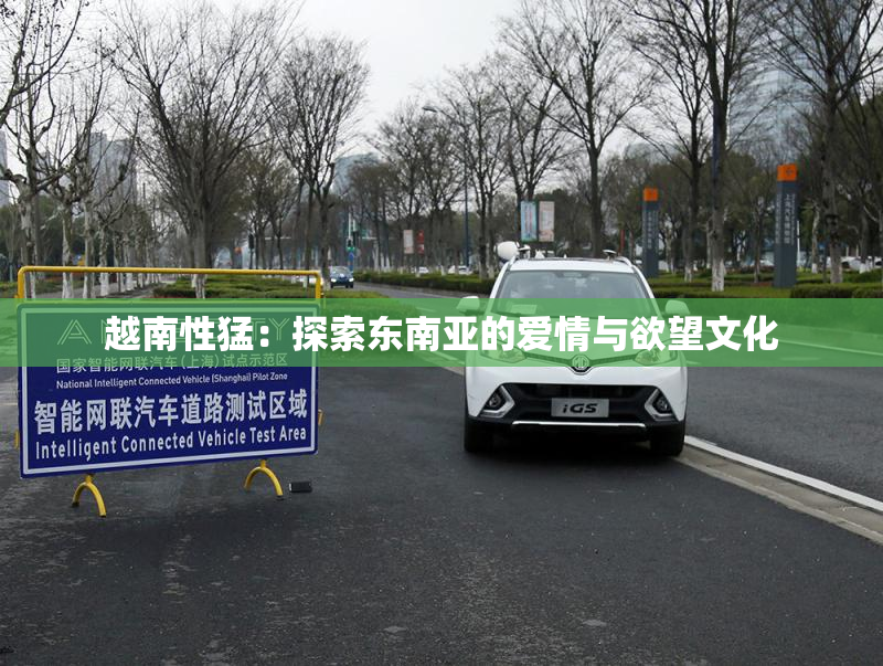 越南性猛：探索东南亚的爱情与欲望文化