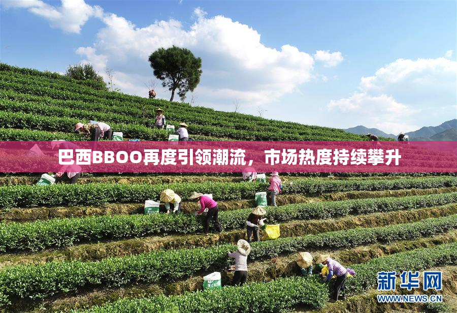 巴西BBOO再度引领潮流，市场热度持续攀升