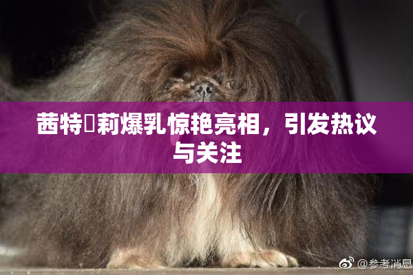 茜特菈莉爆乳惊艳亮相，引发热议与关注