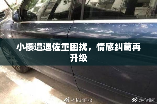小樱遭遇佐重困扰，情感纠葛再升级