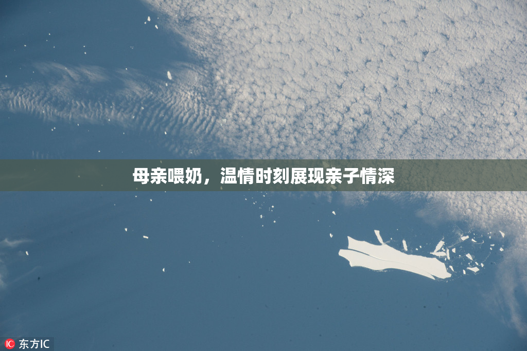 母亲喂奶，温情时刻展现亲子情深