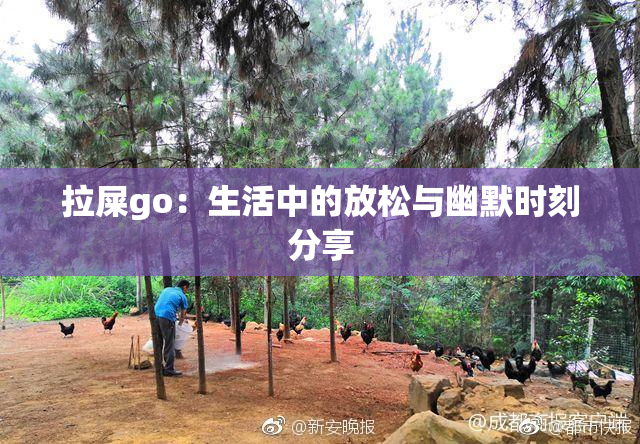 拉屎go：生活中的放松与幽默时刻分享