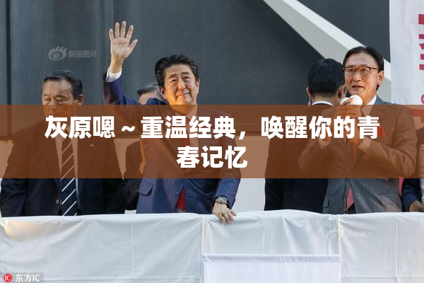 灰原嗯～重温经典，唤醒你的青春记忆