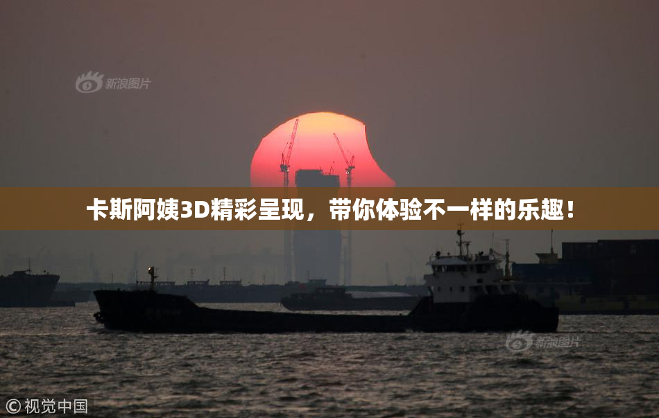 卡斯阿姨3D精彩呈现，带你体验不一样的乐趣！