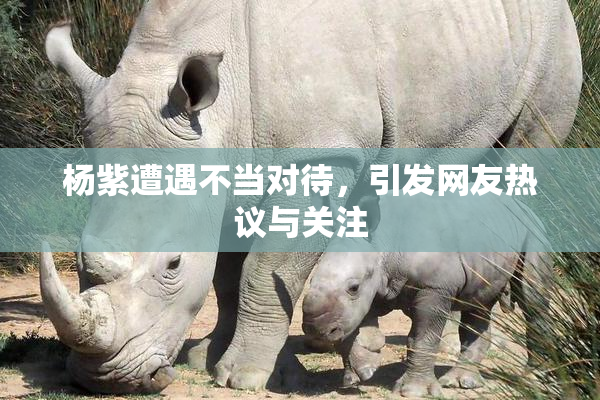 杨紫遭遇不当对待，引发网友热议与关注